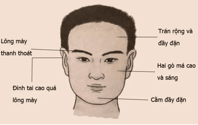 Trán đầy đặn