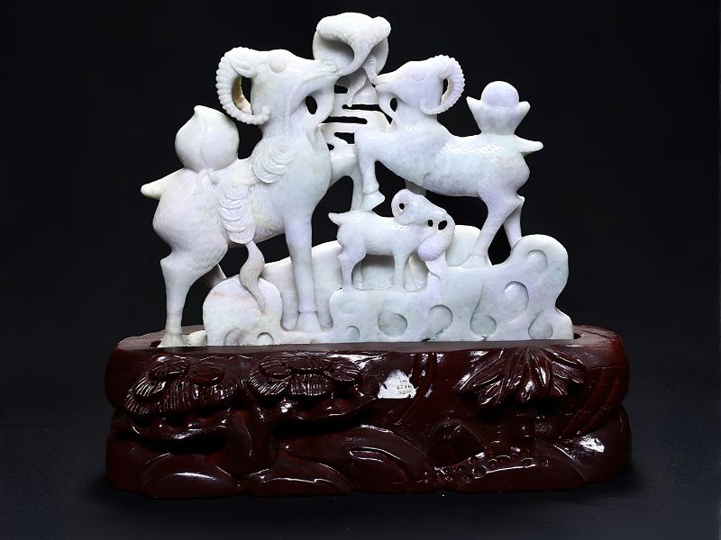 tam duong khai thai 6