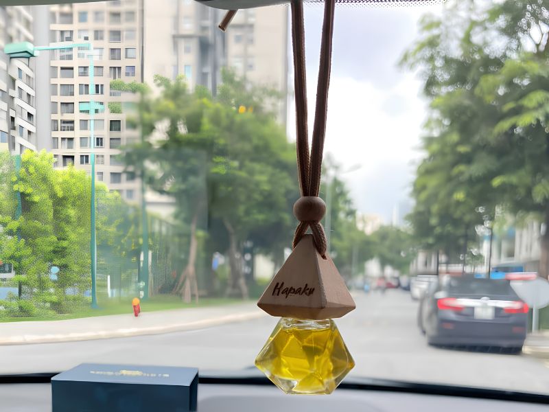 vat pham phong thuy de xe o to 17